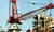 Knuckle Jib Crane Range Knuckle Jib Crane Range