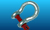 Marine Shackles Range Marine Shackles Range
